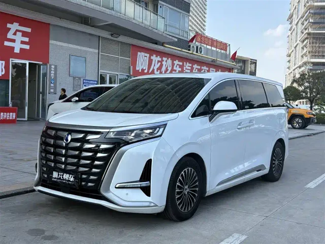 Фотография автомобиля — Denza D9