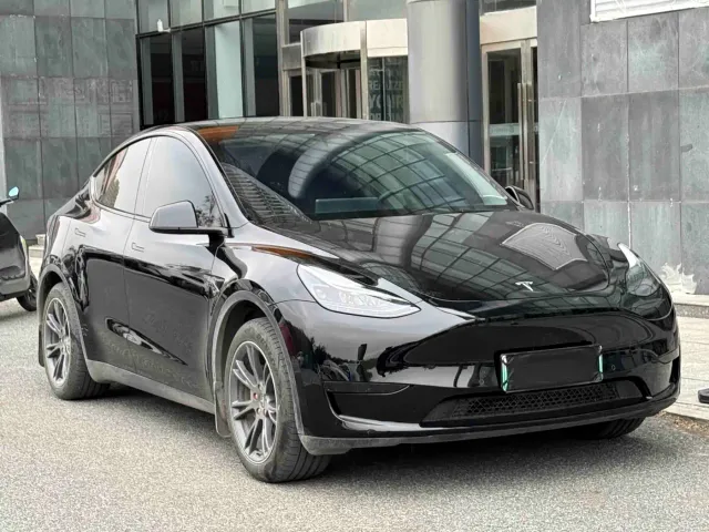 Tesla Model Y — Фото автомобиля 2
