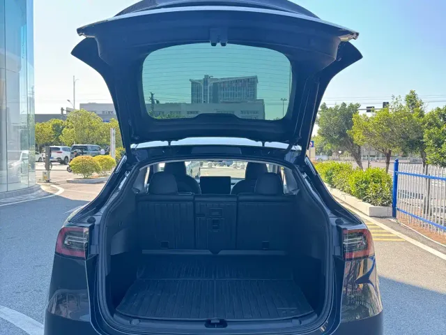 Tesla Model Y — Фото автомобиля 10
