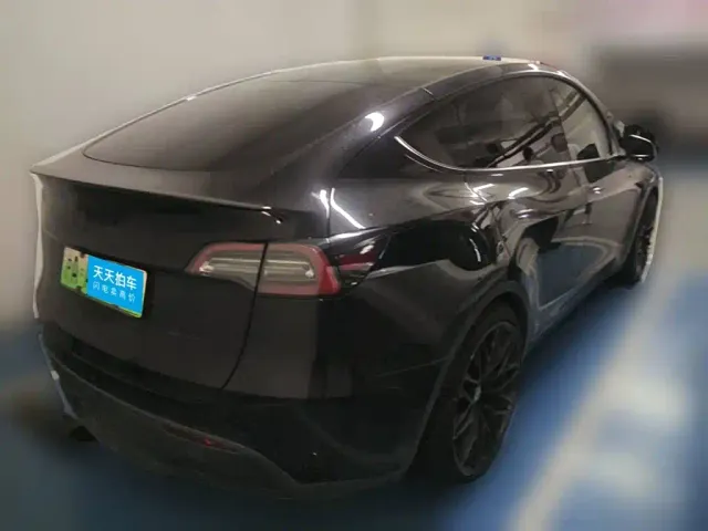 Tesla Model Y — Фото автомобиля 2