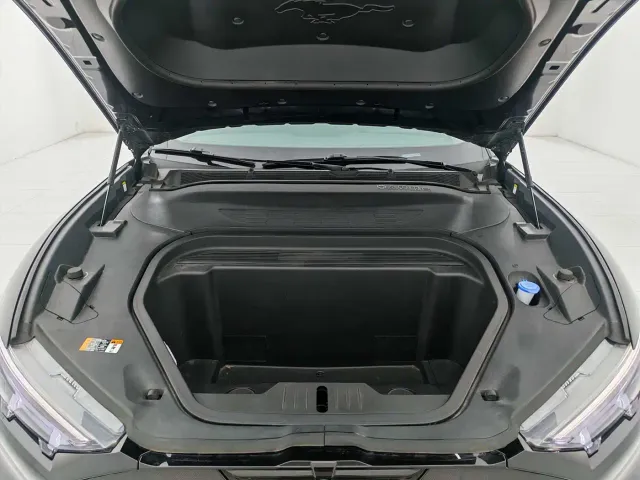 Ford Mustang Mach-E — Фото автомобиля 21
