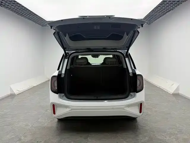 Arcfox Kaola S — Фото автомобиля 15