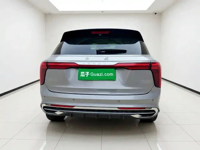 Hongqi Hongqi E-HS9 2022 660km Qi Ling Edition (4-seater) — Фото автомобиля 5