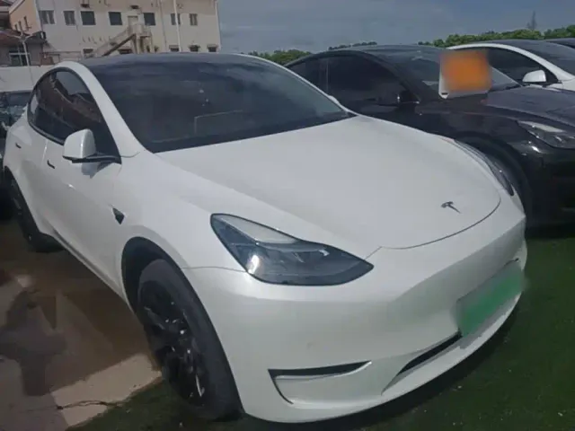 Tesla Model Y — Фото автомобиля 3