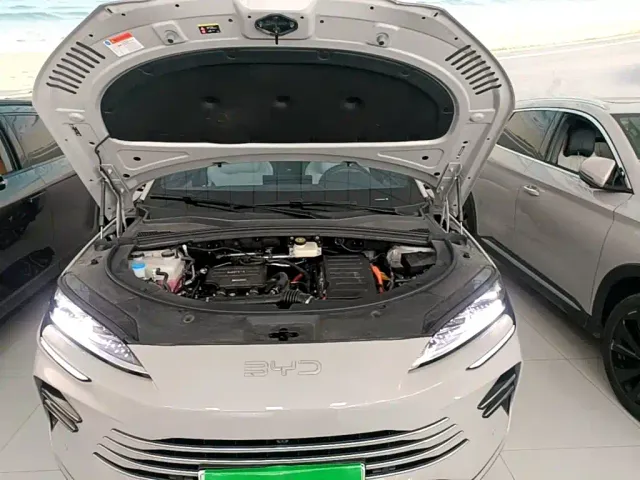 BYD Song PLUS — Фото автомобиля 19