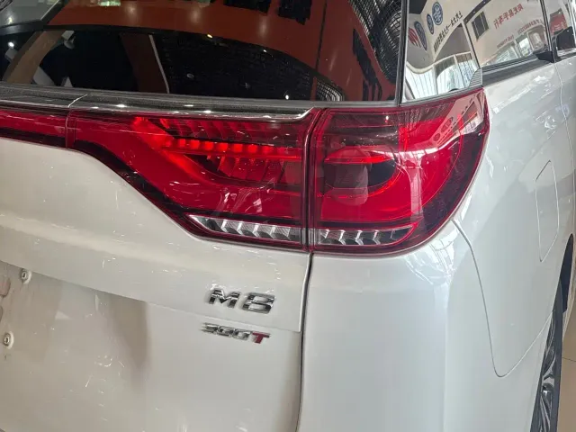 GAC Trumpchi M8 — Фото автомобиля 15