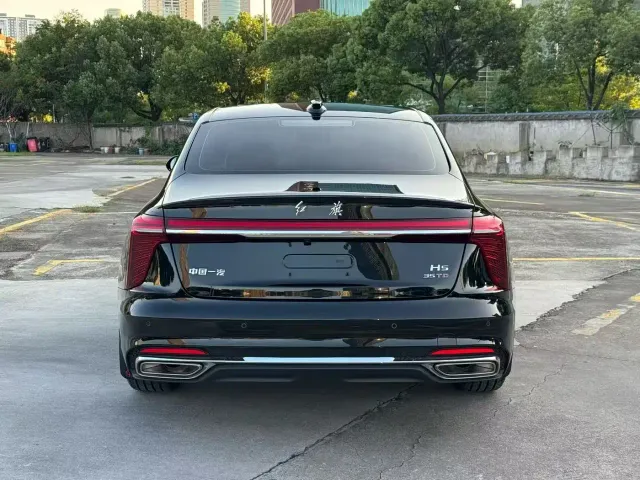 Hongqi Hongqi H5 2025 1.5T DCT Flag Rhythm 500,000 Units Memorial Edition — Фото автомобиля 8