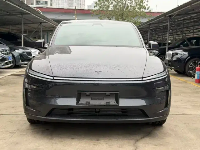 Tesla Model Y — Фото автомобиля 2
