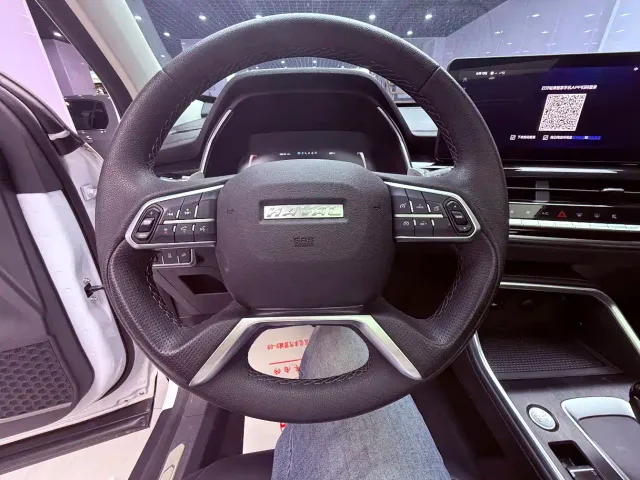 Haval H6 — Фото автомобиля 11