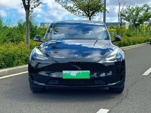 Tesla Model Y — Фото автомобиля 2