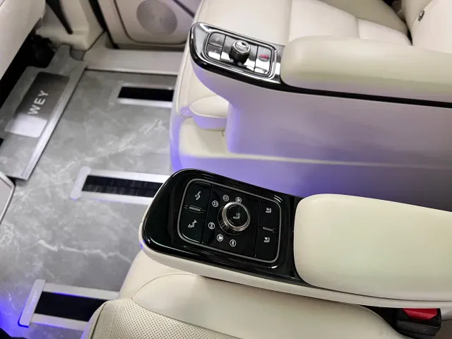 Wey Alpine — Фото автомобиля 20