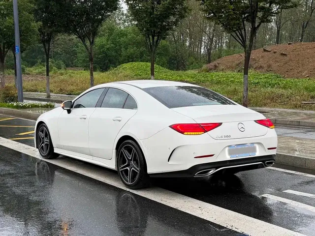 Mercedes-Benz CLS-Class — Фото автомобиля 11