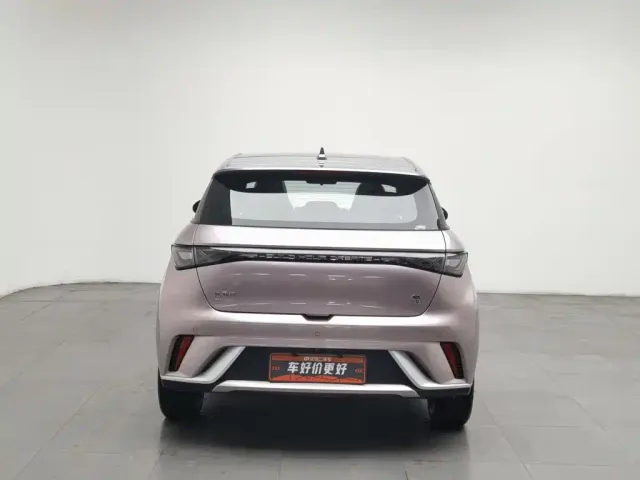 BYD Dolphin — Фото автомобиля 4
