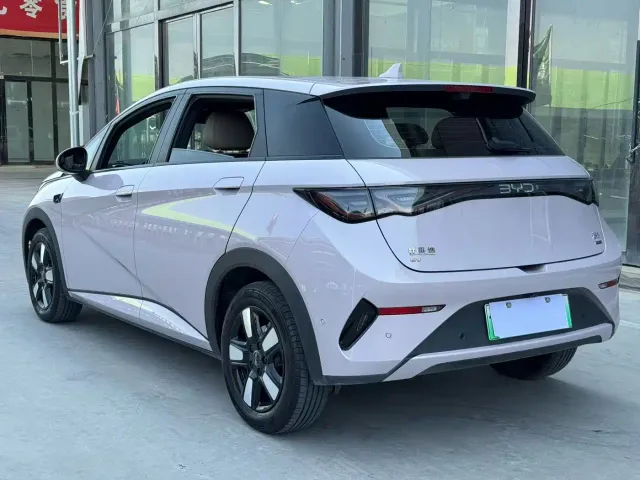 BYD Dolphin — Фото автомобиля 4