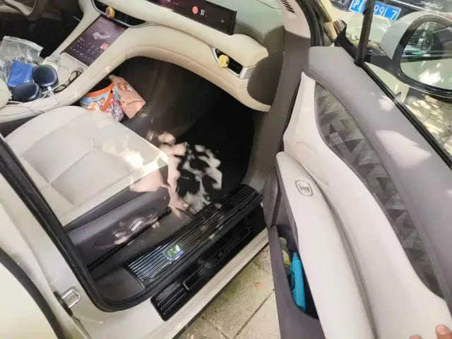 IM Motors LS6 — Фото автомобиля 13