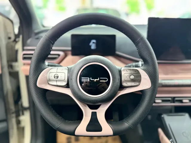 BYD Seagull — Фото автомобиля 13