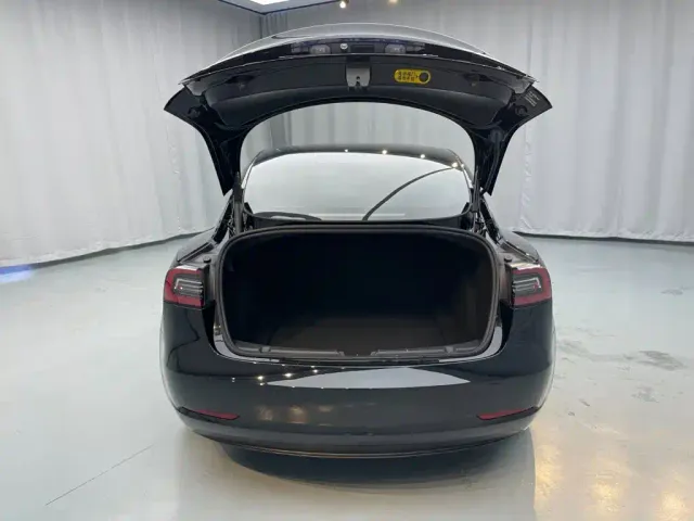 Tesla Model 3 — Фото автомобиля 25