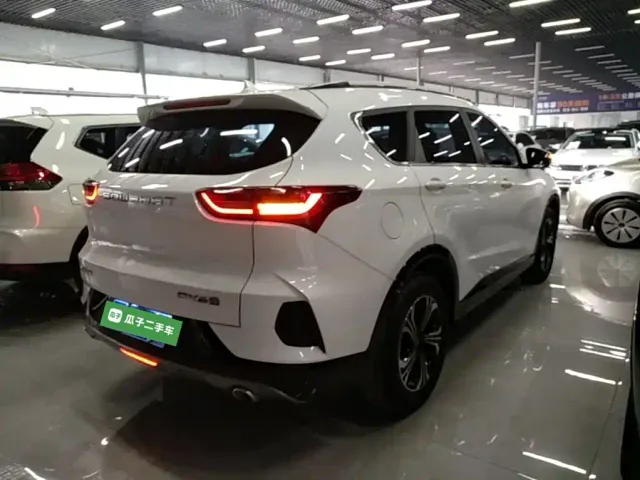 Soueast DX8S — Фото автомобиля 6