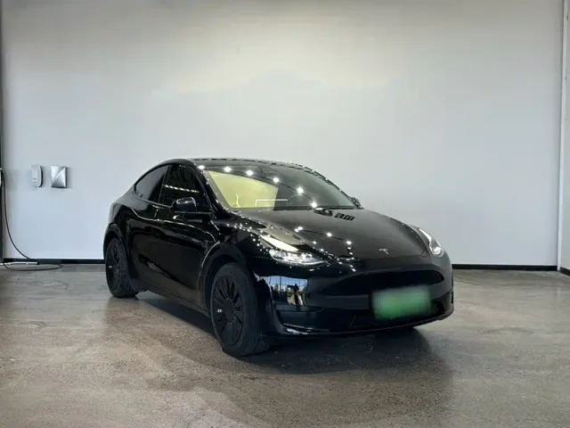 Tesla Model Y — Фото автомобиля 6
