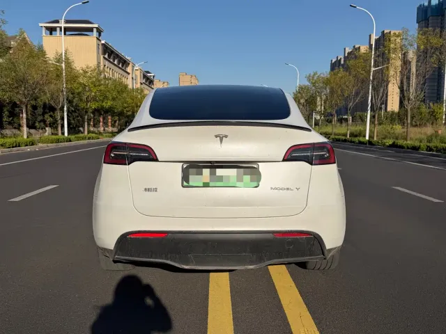 Tesla Model Y — Фото автомобиля 3