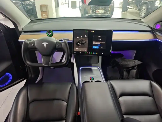 Tesla Model Y — Фото автомобиля 9