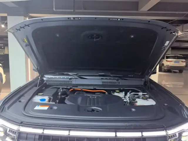 BYD FangChengBao Leopard 5 — Фото автомобиля 19