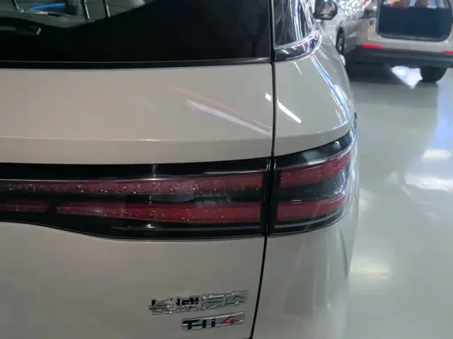 Haval Xiaolong MAX — Фото автомобиля 7