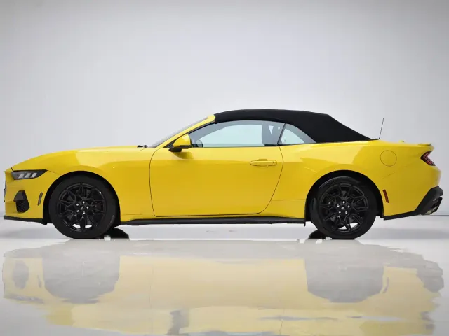 Ford Mustang — Фото автомобиля 7