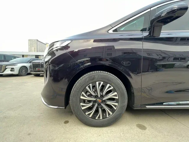 Hongqi HQ9 PHEV — Фото автомобиля 19