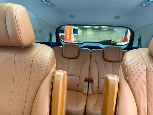 Wey Lanshan — Фото автомобиля 10