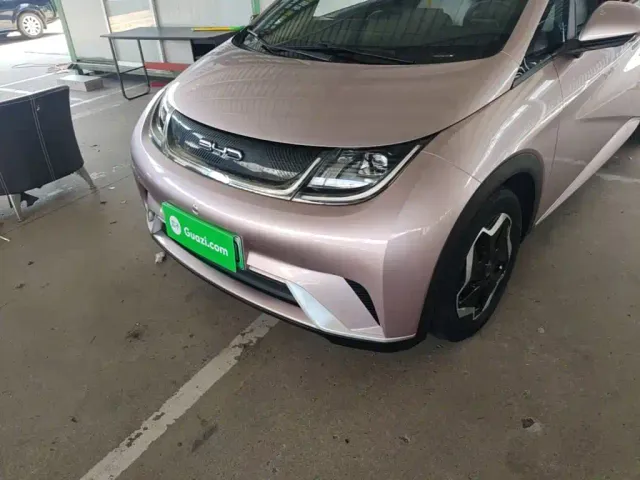 BYD Dolphin — Фото автомобиля 23