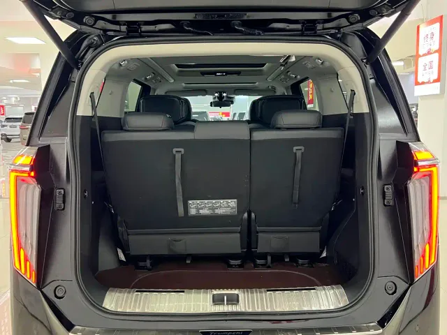 GAC Trumpchi M8 — Фото автомобиля 13