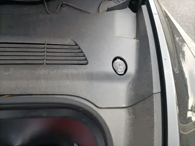 Tesla Model Y — Фото автомобиля 22