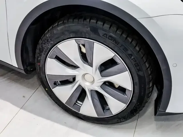 Tesla Model Y — Фото автомобиля 29
