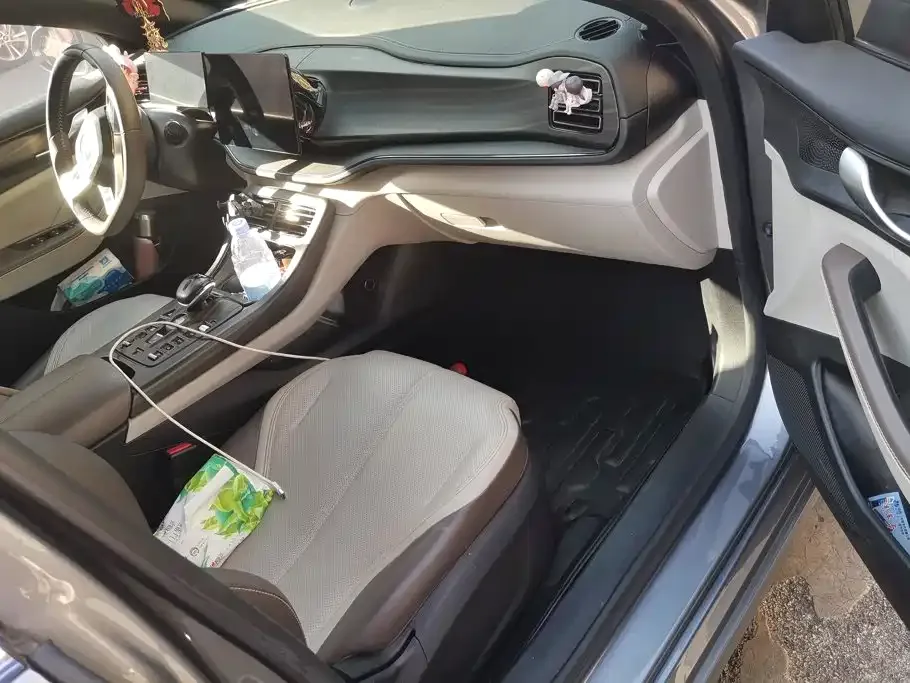 BYD Qin PLUS 2023 Champion Edition DM-i 55KM Leading — Фото автомобиля 8