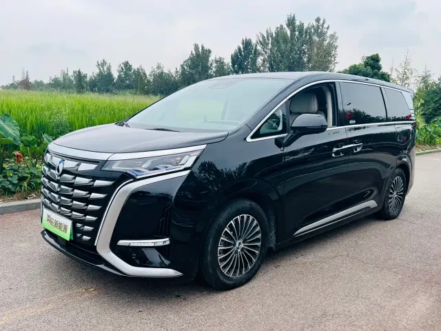 Фотография автомобиля — Denza D9