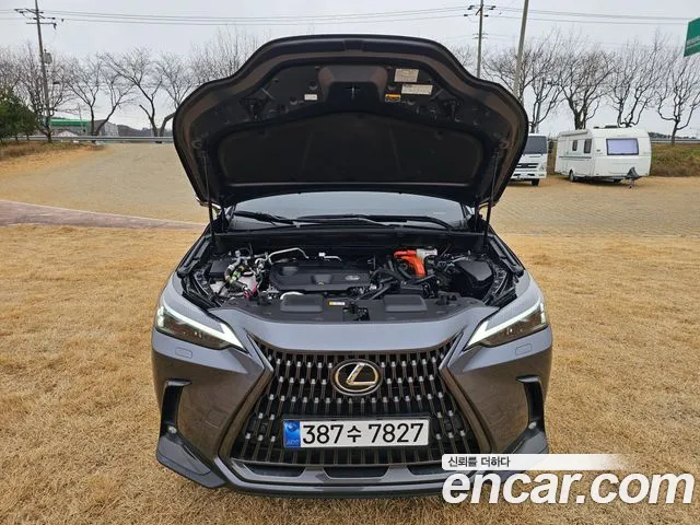 Lexus NX — Фото автомобиля 11