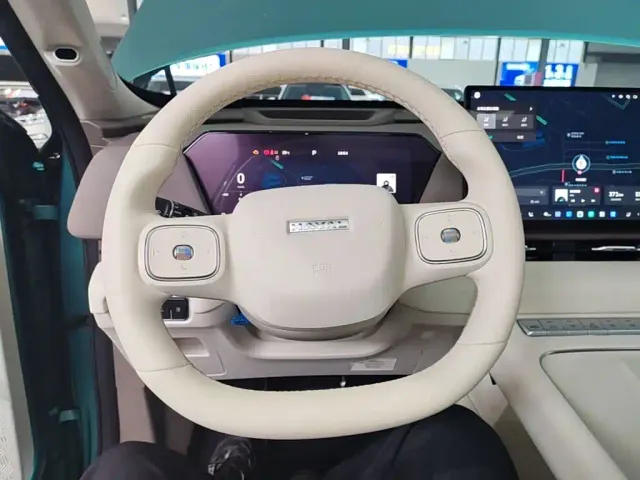 Haval Xiaolong MAX — Фото автомобиля 10