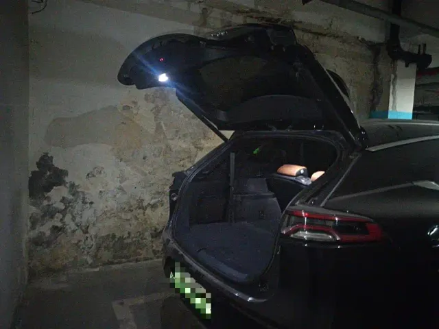 BYD Tang New Energy 2021 DM-i 112KM Honor — Фото автомобиля 20