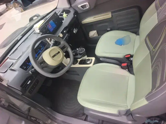Geely Galaxy Panda 2024 200km Panda Knight — Фото автомобиля 16