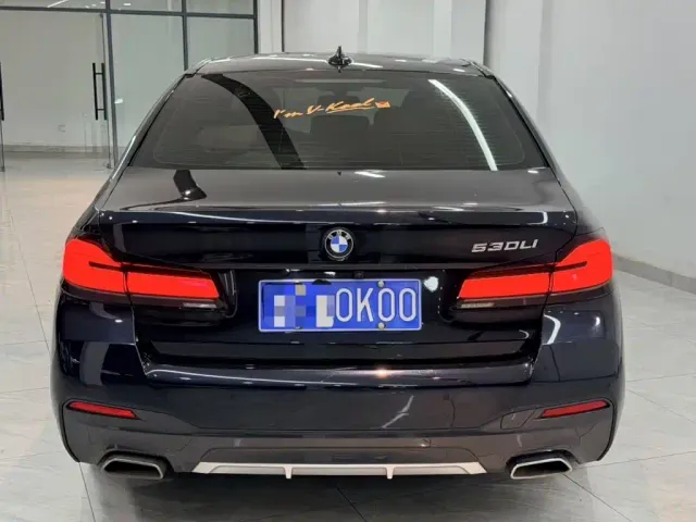 BMW 5 Series — Фото автомобиля 8