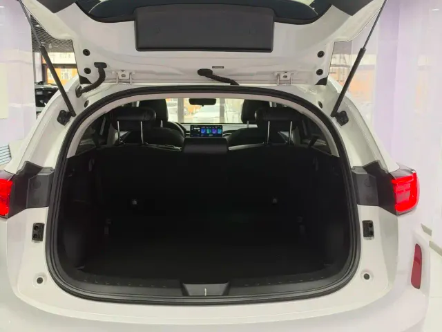 Haval Chitu — Фото автомобиля 20