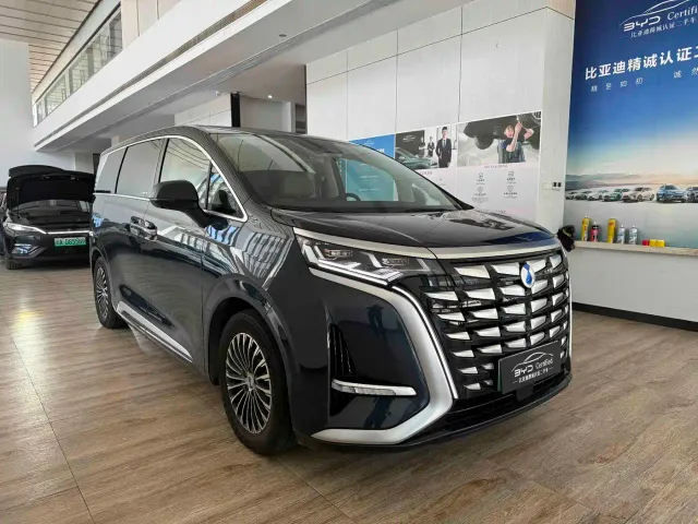 Denza D9 — Фото автомобиля 3