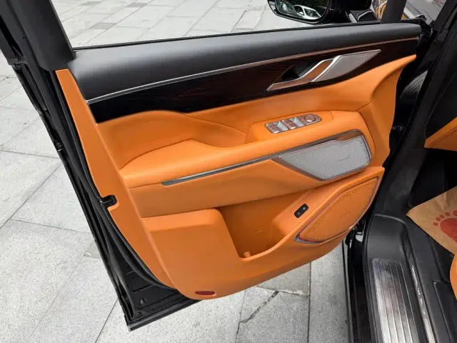 Wey Alpine — Фото автомобиля 6