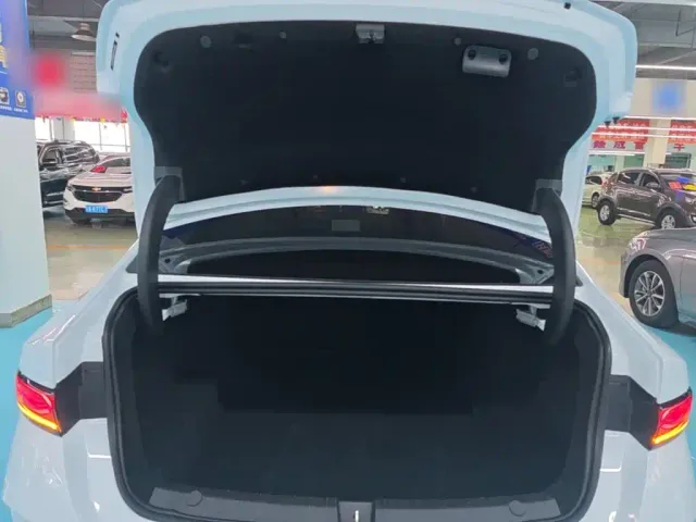 BYD Qin PLUS — Фото автомобиля 18