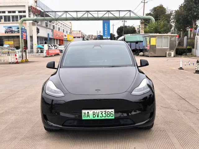 Tesla Model Y — Фото автомобиля 2