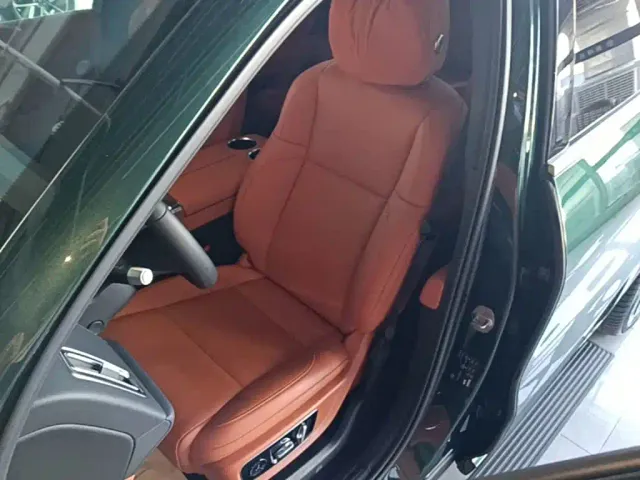 Li Auto L9 — Фото автомобиля 14