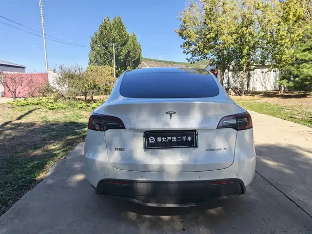 Tesla Model Y — Фото автомобиля 4