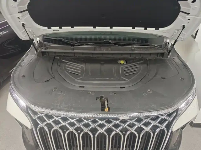 Forthing Xinghai V9 — Фото автомобиля 19