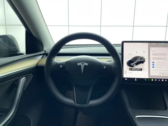Tesla Model Y 2021 Standard Range Rear-Wheel Drive — Фото автомобиля 13